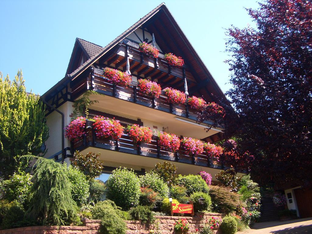 Landhaus Schneider Sasbachwalden Dış mekan fotoğraf